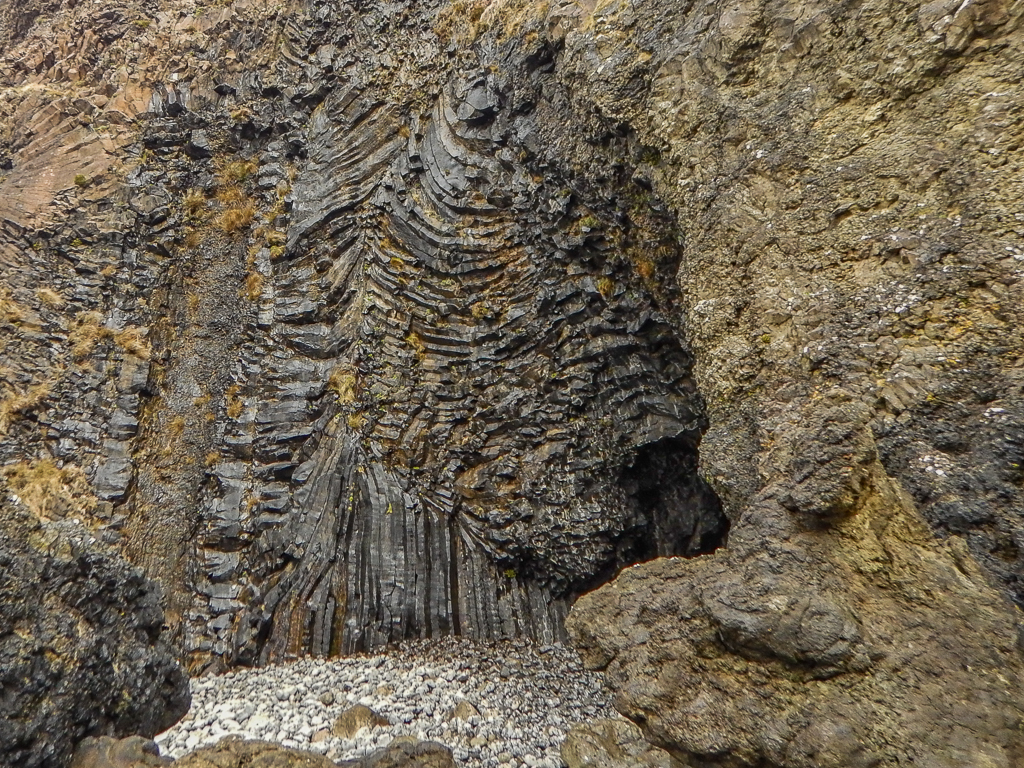 Fossilised Tree Isle of Mull